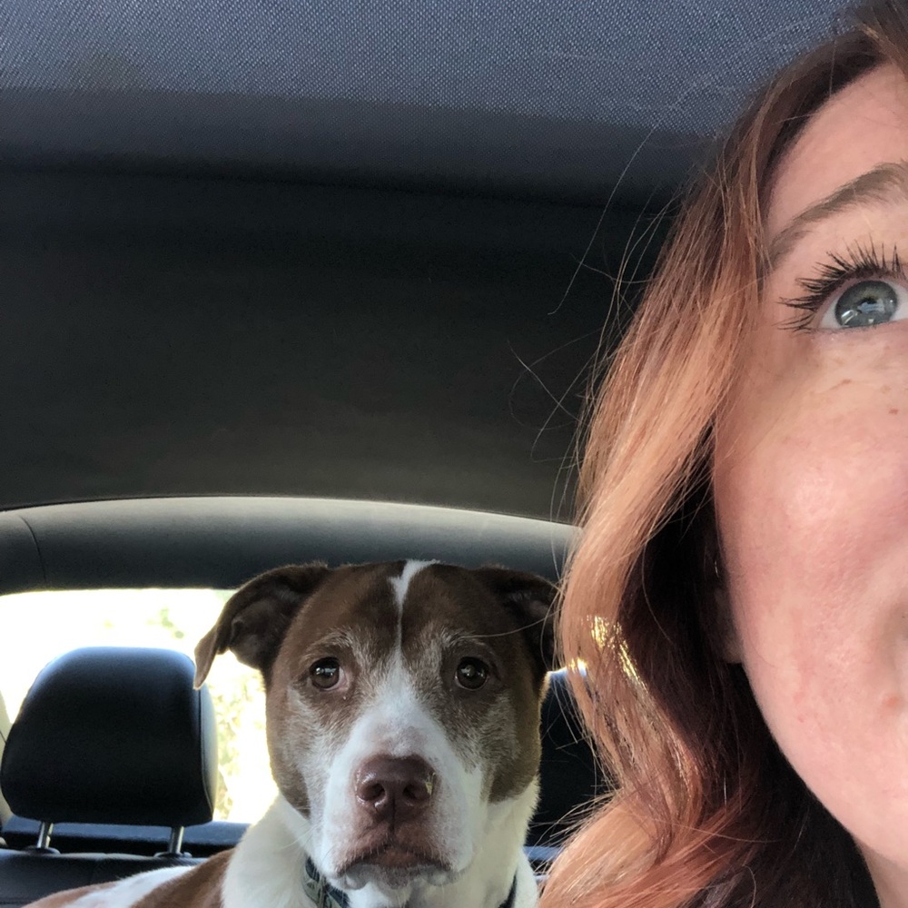 Meet your Posher, Lia